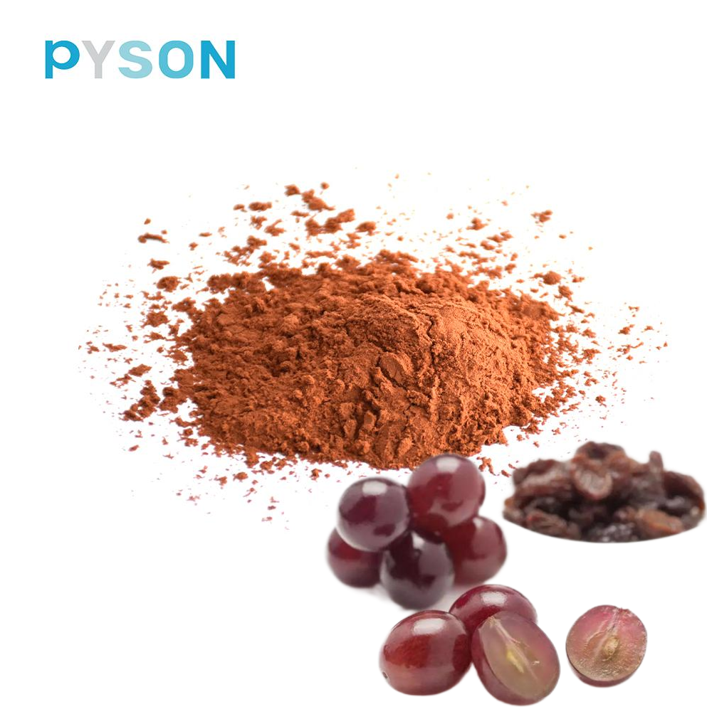 Pyson إمدادات البذور العنب استخراج مسحوق