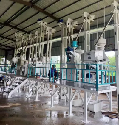 High Quality Rice Bucket Elevator for Efficient Rice Milling