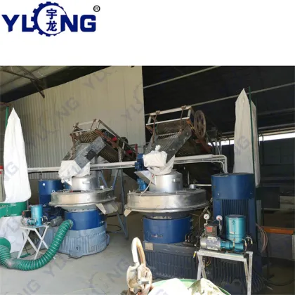 YULONG XGJ560 1.5-2TON/H coffee ground pellet press machine