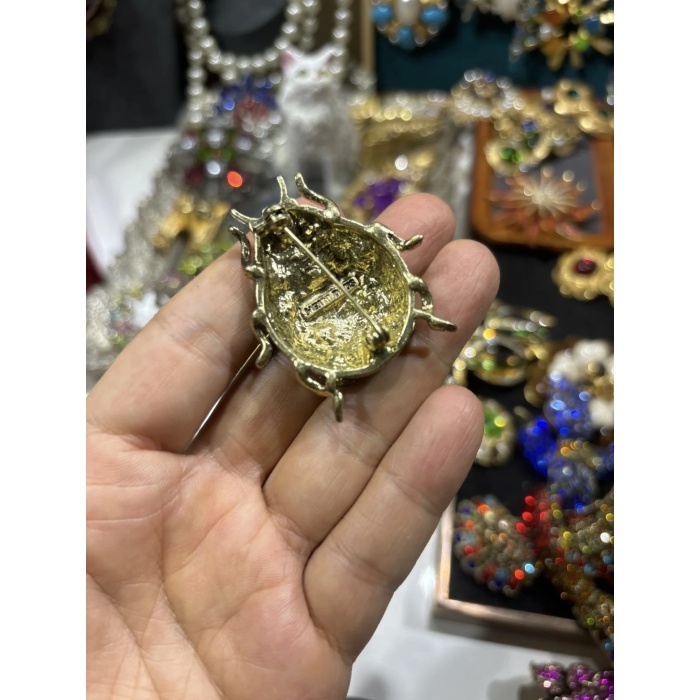 Broche de joaninha retrô e fofo