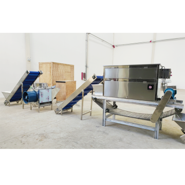Automatische Knoblauchschaltmaschine für den industriellen Gebrauch in Ägypten