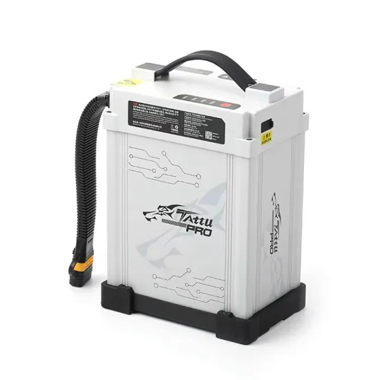 2021 Hot Sale Tattu 14S 22000mAh smart battery for agricultural drone