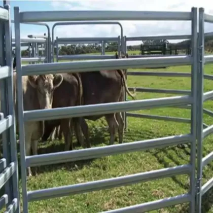 High Quality China Livestock Fence Panels for Farms