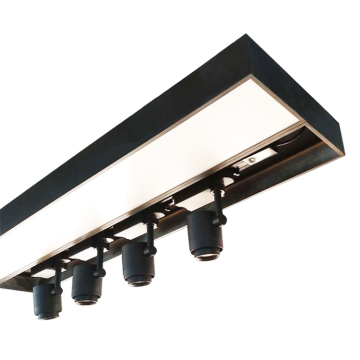 WIFI Integrated LED Assembled Light and Smoke Emergency Lights
