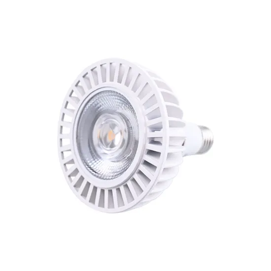 OEM ODM Indoor Ceiling Spotlight PAR Lamp 100LM/W No Flickering PAR30 E27 30W LED Bulb Light