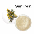 Genistein Extract Sophora Fruit Extract