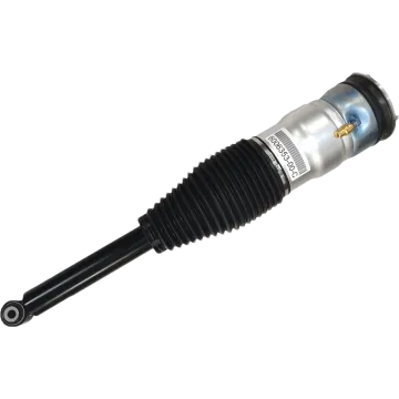 RTS Air Suspension Spring Auto Parts for Tesla Models RWD Rear Shock Absorber