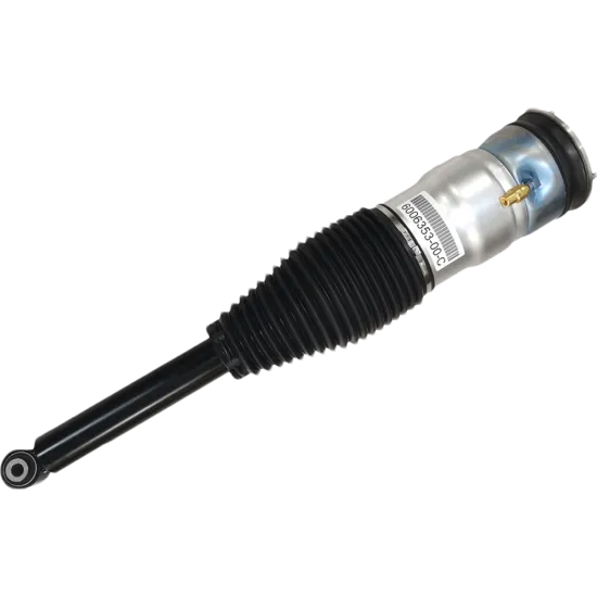 RTS Air Suspension Spring Auto Parts for Tesla Models RWD Rear Shock Absorber