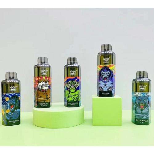 Melhor kit de vape descartável para R&amp;M Paradise 8000 Puffs