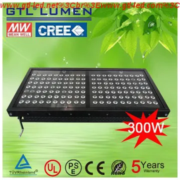 240w LED stadiium light outdoor use IP65 CREE chips Mean well driver
