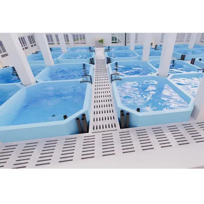 Customized Ras Shrimp Farming: Recirculating Aquaculture Systems (RAS)