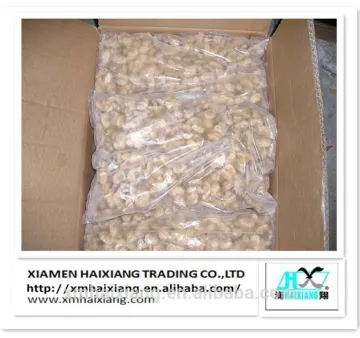 Frozen short necked clam meat IQF