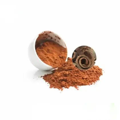 Organic Ceylon Cinnamon Extract Powder Cinnamon Polyphenols