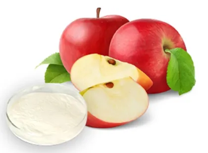 Pure Natural Organic Apple Juice Powder Apple Extract