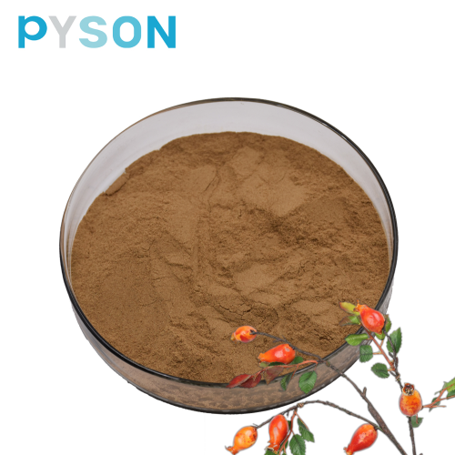 Rosehip fruit extract contain Polyphenol 98.0%