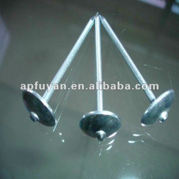 Electro galvanized roofing nail with umbrella head