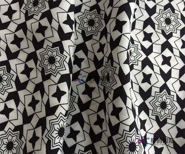 Popular Apparel Fabric