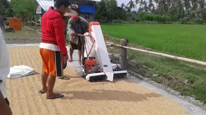 Good performance multi grain paddy rice bagger in the Philippines