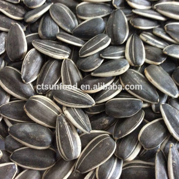 Chinese sunflower seeds sunflower seeds market price