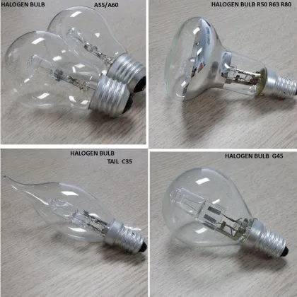 Frosted E27 Incandescent Light Bulbs: 110V/220V 60W-100W