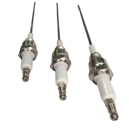 Beru Used Customized Electrode Spark Plug Ceramic Igniter
