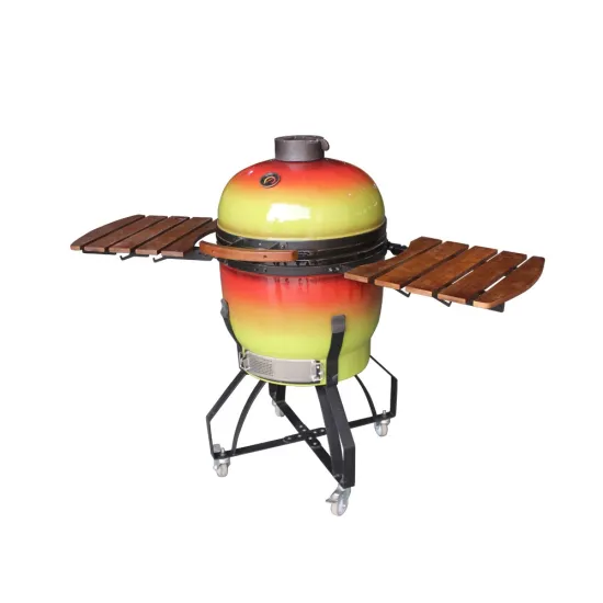 Auplex Large Barbeque Outdoor Smoker 21 inch Green Charcoal Grills Egg Kamado BBQ