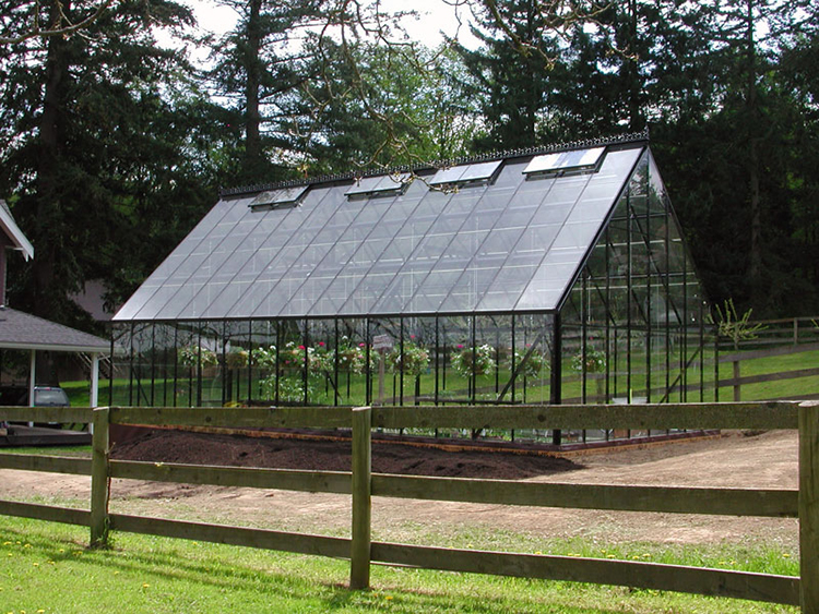 Glass Greenhouse