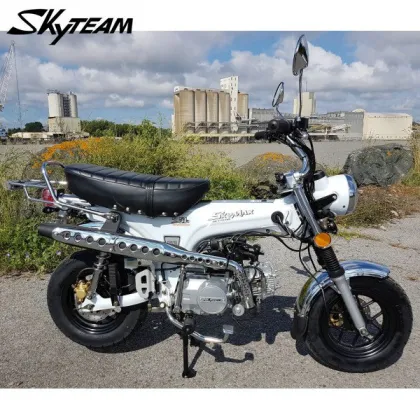 SKYTEAM E5 50cc SkyMax Motorcycle - EEC EURO5 Approved