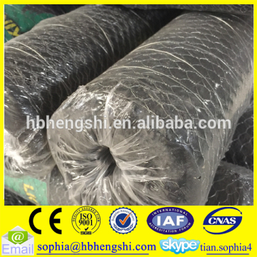 galvanized hexagonal wire mesh fence