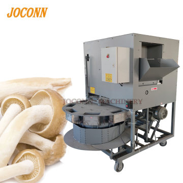 King Oyster Mushroom Growing Equipment: Filling Machine and Spawn