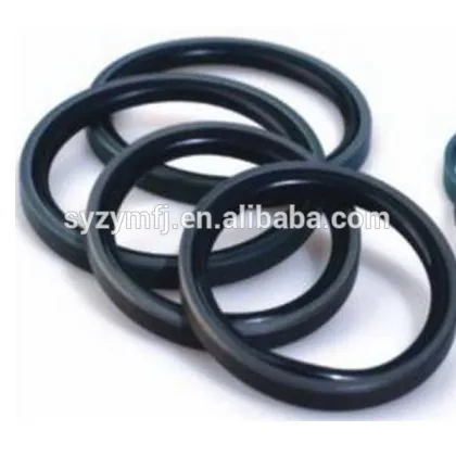 piston glyd ring/PTFE cylinder piston ring