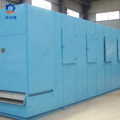 Fresh White Button Mushroom Dryer