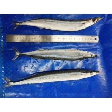 Vysoce kvalitní mražené Saury w/r