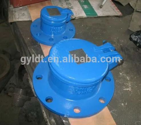 Cast Iron Flap Valve of suppiler