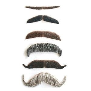 Moustache in Human Hair