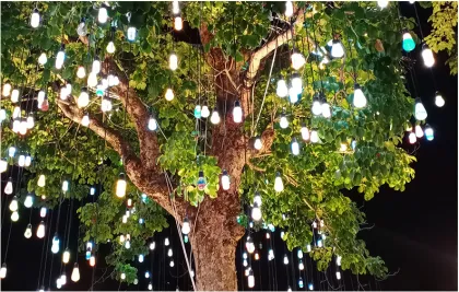 Outdoor LED Glazed Lights