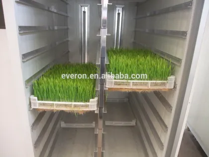 500KGS Barley Sprouts Machine ! New Animal green Feed Choice