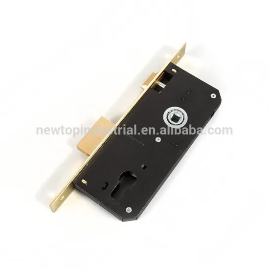 Hot Sale Stainless Steel Panel Mortise Door Lock Body