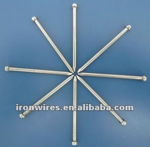 Galvanized common nail/common iron nail factory manufacturer in China