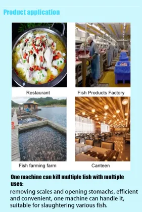 Commercial Automatic Open Belly Fish Killing Machine for Grilled Fish Shop