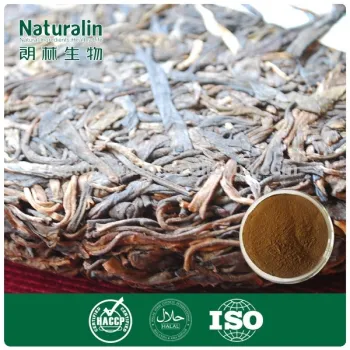 Water soluble Natural Matcha Green Tea Powder/Instant Tea Powder