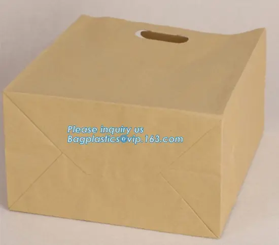 Printed Paper Bags With Your Own Logo, Luxury Ribbon Handles Gift Shopping Custom, Womenswear Garment Paper Handle Bag