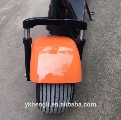 Electric E Mobility Scooter 1000W Price