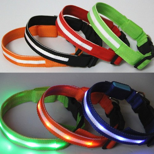 Fluorescent Pet Collars and Leash