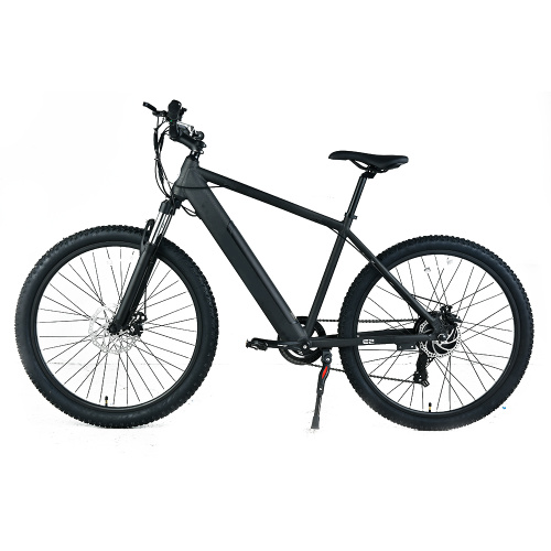 XY-SPORTSMAN ECO best e mountain bike under 2000