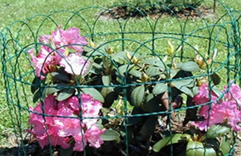 2.0/3.0 Arch Top Garden Border Fence