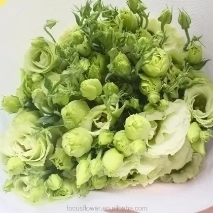 High Quality Colorful Eustoma Fresh Cut Flowers from China