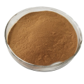 Best function cnidium monnieri extract powder fructus cnidii