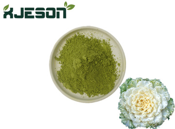 100% pure natural kale powder