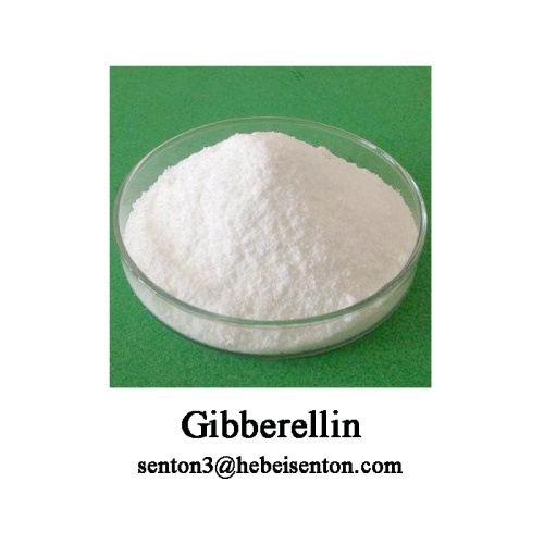 White Crystalline Powder Gibberellic Acid